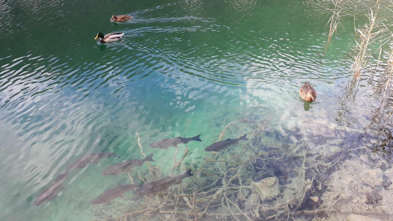 Vacation House Home, Plitvice Lakes National Park Plitvicka Jezera Ngoại thất bức ảnh