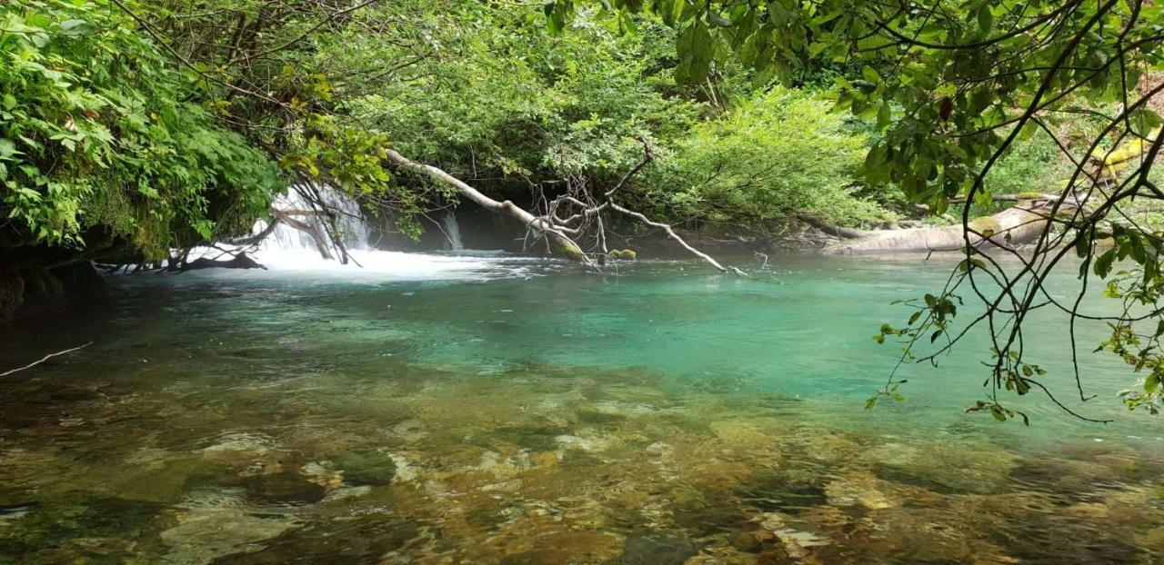 Vacation House Home, Plitvice Lakes National Park Plitvicka Jezera Ngoại thất bức ảnh